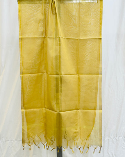 055B090E-80D7-4BD9-A726-DE00FA8064FD - Kurti Connection USA