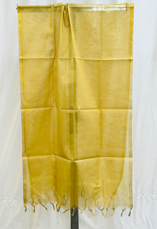 055B090E-80D7-4BD9-A726-DE00FA8064FD - Kurti Connection USA