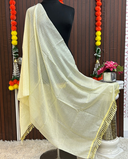 0C78B99C-1FC0-4E88-BE10-4EA8E214242A - Kurti Connection USA