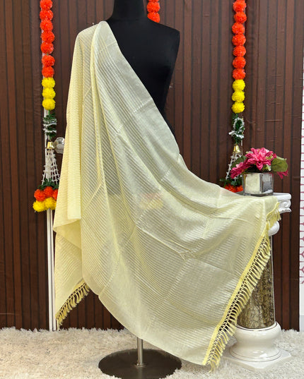 1892B1E2-9126-4D88-AD6A-73AEE9B20CA0 - Kurti Connection USA