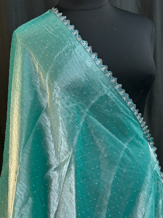 Tissue organza saree