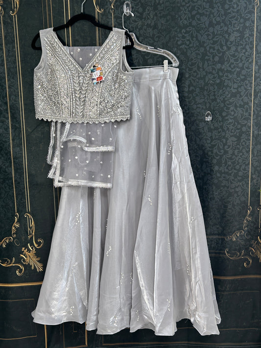 Tissue silk lehenga set : Silver