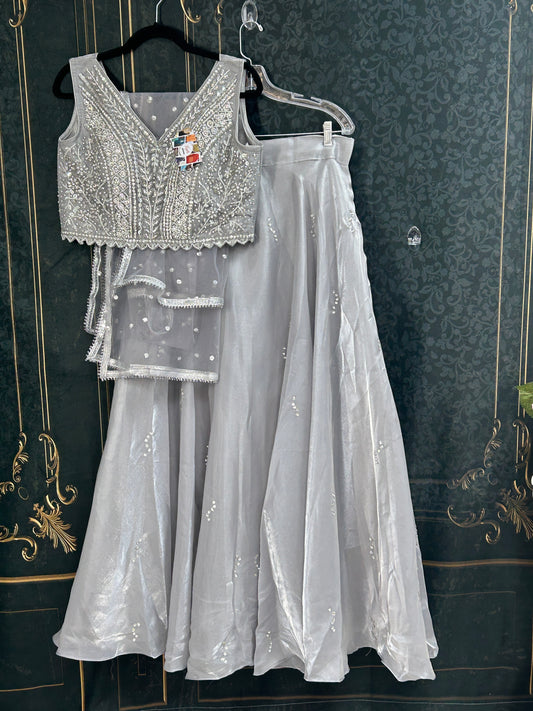 Tissue silk lehenga set : Silver