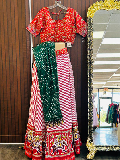 Lehenga Choli set