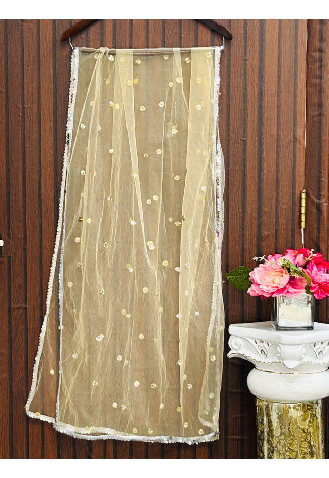 333B774C-BBD5-4615-BD08-C5131632F08B - Kurti Connection USA