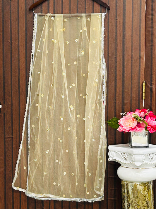 Net dupatta : light gold