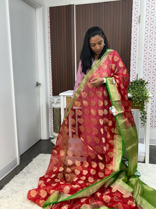 Tissue organza sarees