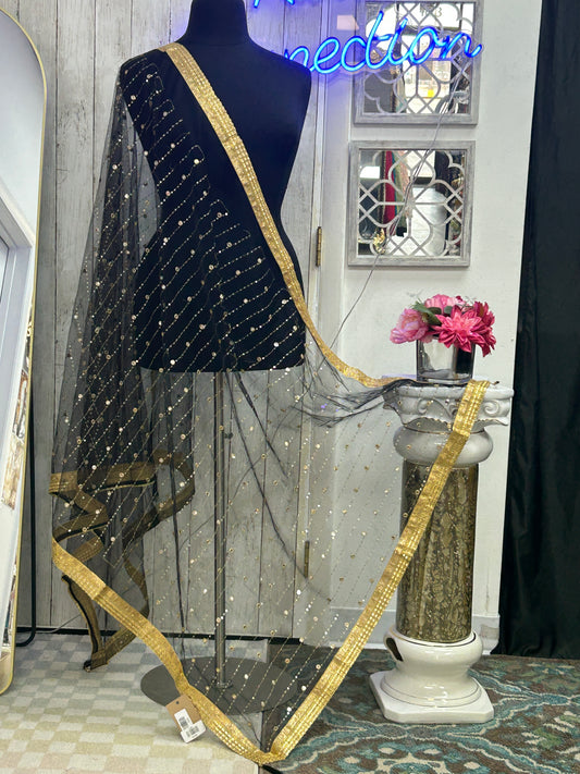 Black foil mirror work dupatta