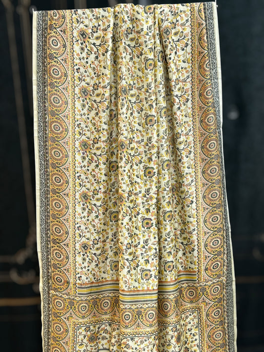 Pashmina print saree