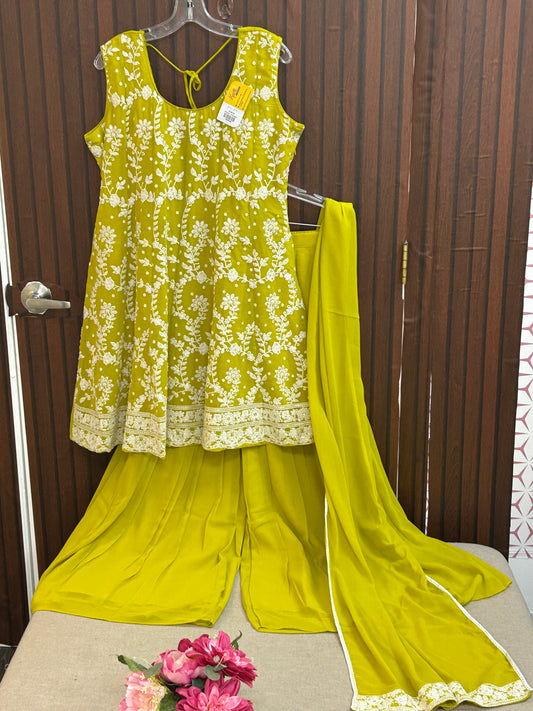 Chiffon Chikankari sharara suit