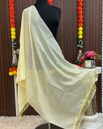 A32560DB-4F5E-4829-ADA6-5ECB75E296A5 - Kurti Connection USA