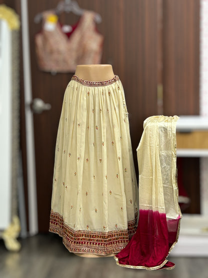 Lehenga Choli set