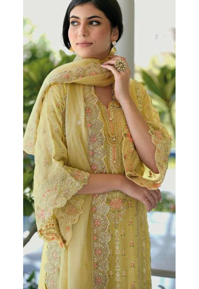 C9056C51-00FF-4BA8-8C96-ACAD5A4F2B4E - Kurti Connection USA