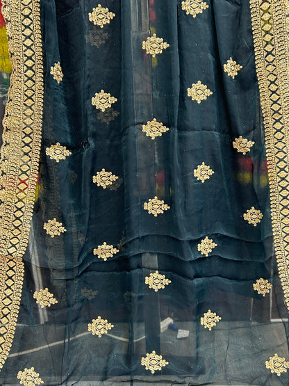 Chiffon heavy work saree
