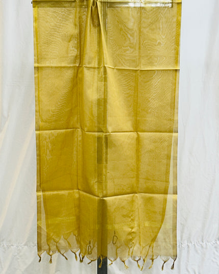 CD4F4AA3-0A67-402B-8FAE-E7CF6461D445 - Kurti Connection USA