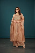 Tissue silk party wear dress