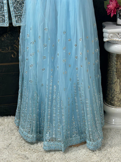 Lehenga set with long blouse