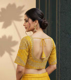 Heavy embroidery work blouse