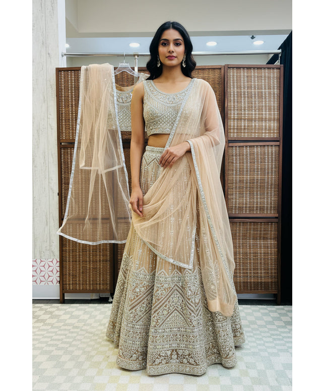 Heavy party wear lehenga Choli set
