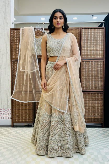 Heavy party wear lehenga Choli set