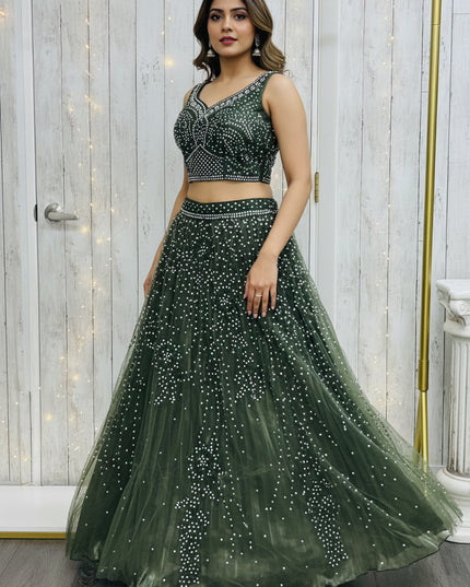 Rewa : Lehenga Choli set