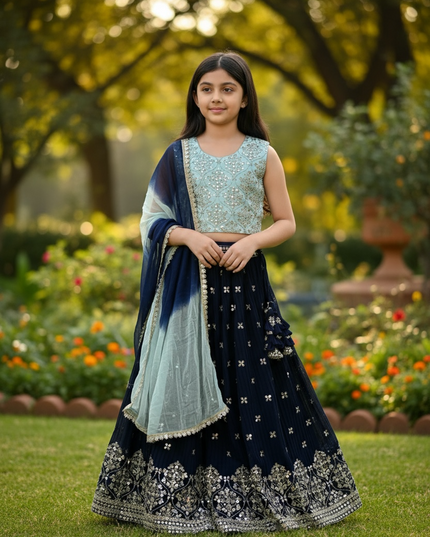 Kids lehenga Choli set : girls