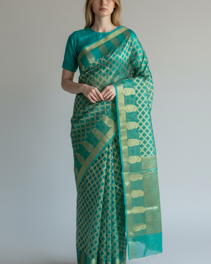 Tissue organza saree