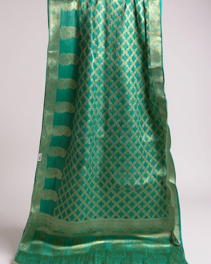 Tissue organza saree