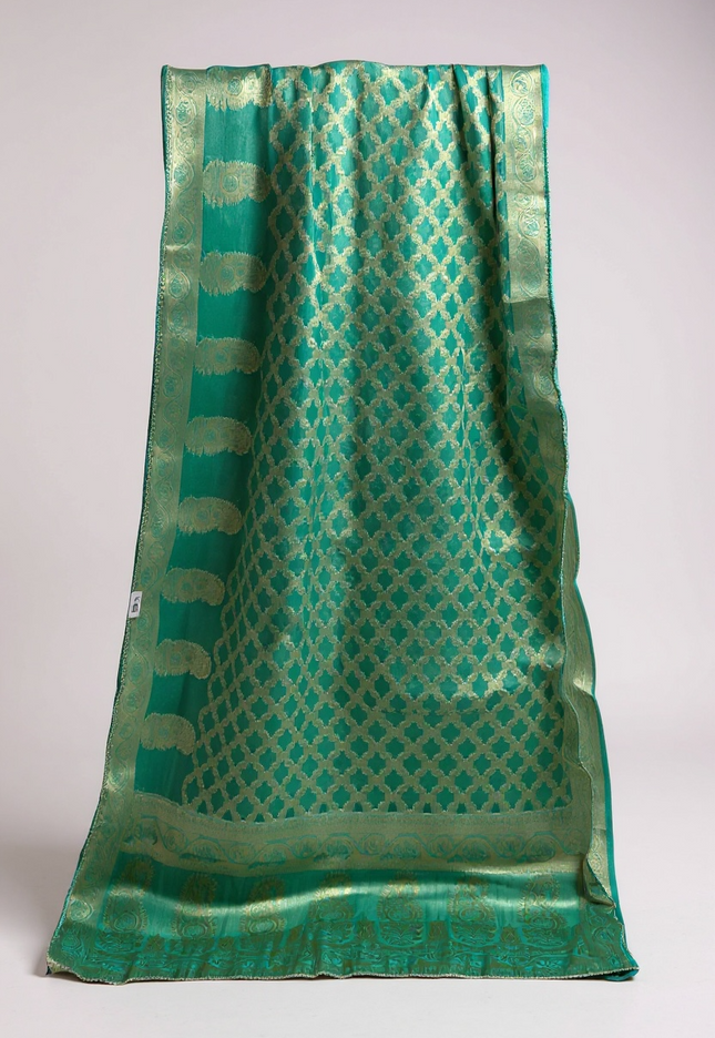 Tissue organza saree