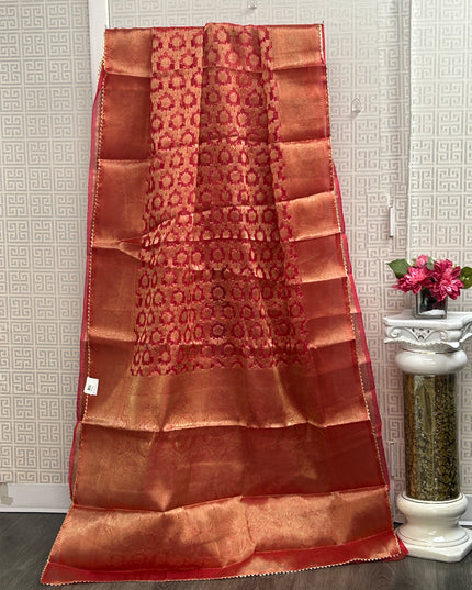 Tissue organza saree