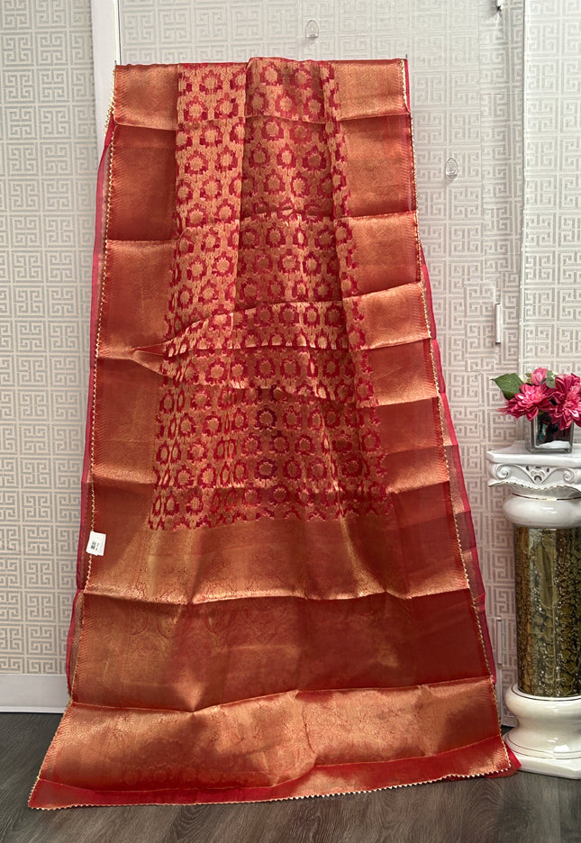 Tissue organza saree