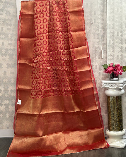 Tissue organza saree