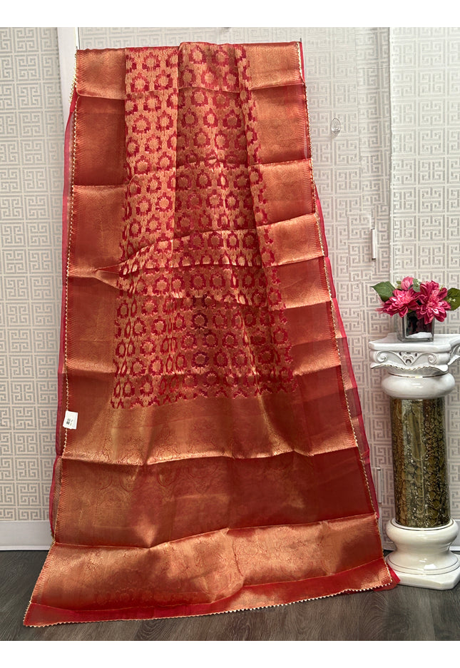 Tissue organza saree
