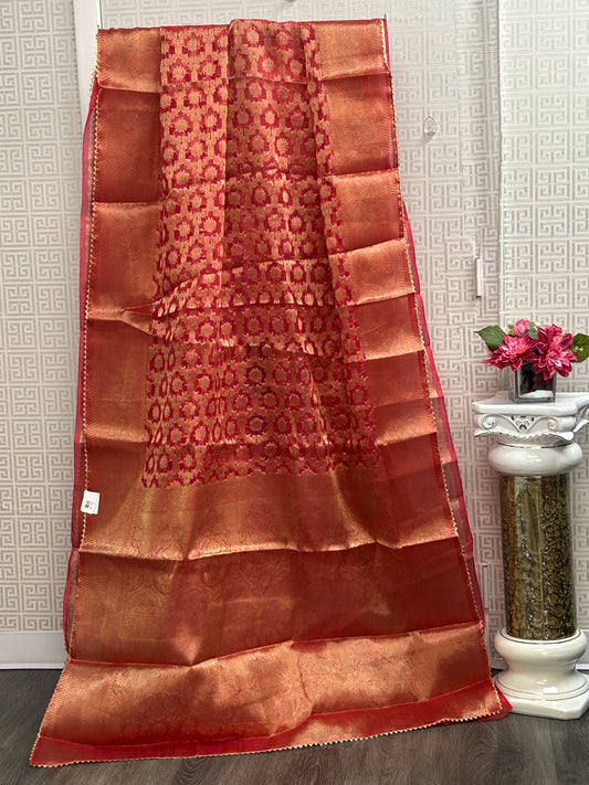 Tissue organza saree