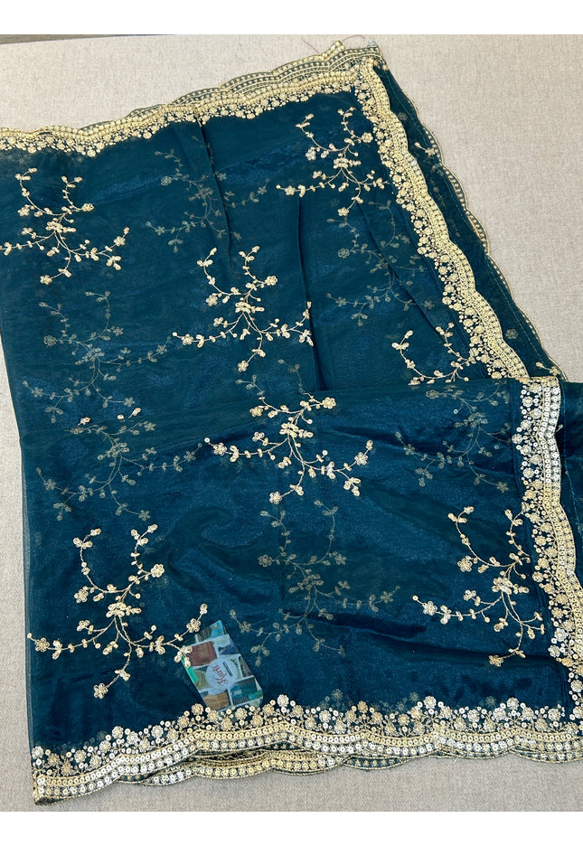 Fancy net dupatta: full size
