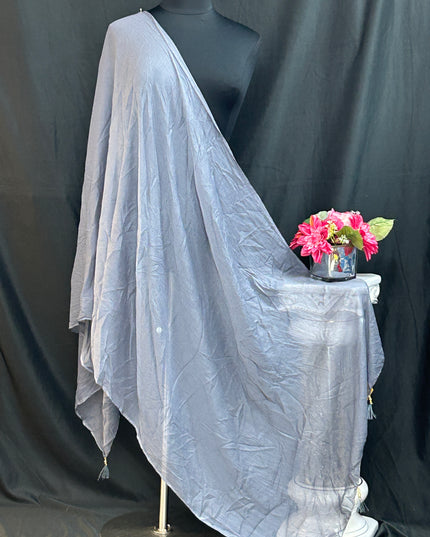 Grey chiffon dupatta