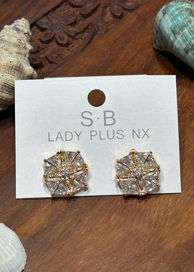 Anti tarnish earrings