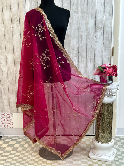 Tissue silk dupatta with sequin work