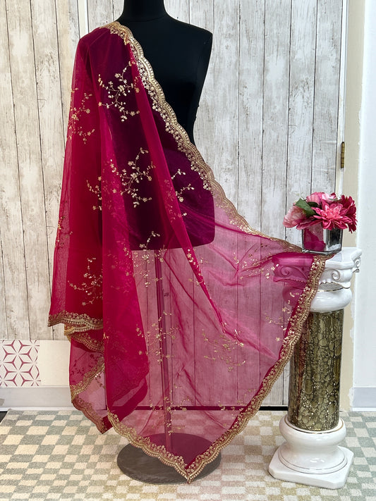 Tissue silk dupatta with sequin work