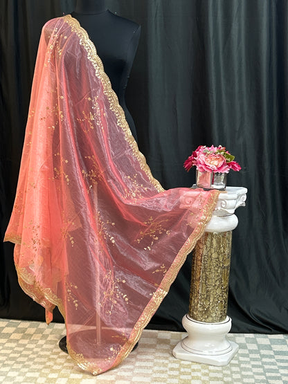 Tissue silk dupatta with sequin work