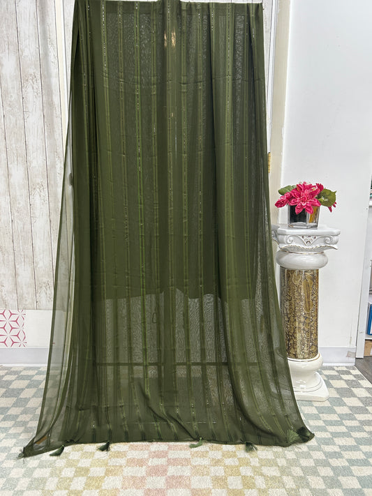 Plain georgette saree with light sequin work