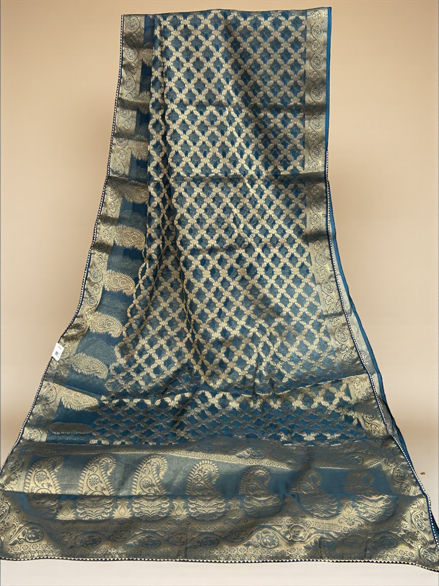 Tissue organza saree by Kurti Connection USA