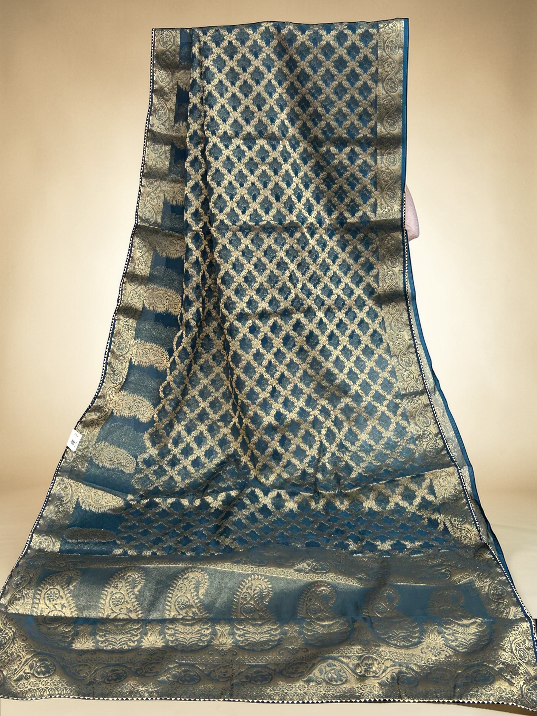 Tissue organza saree by Kurti Connection USA