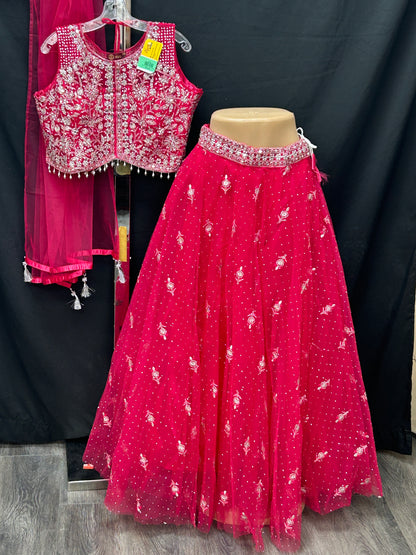 Wedding guest collection: Lehenga Choli set - Kurti Connection USA
