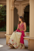 Lehenga Choli set