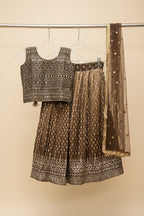 Lehenga Choli set for Girls