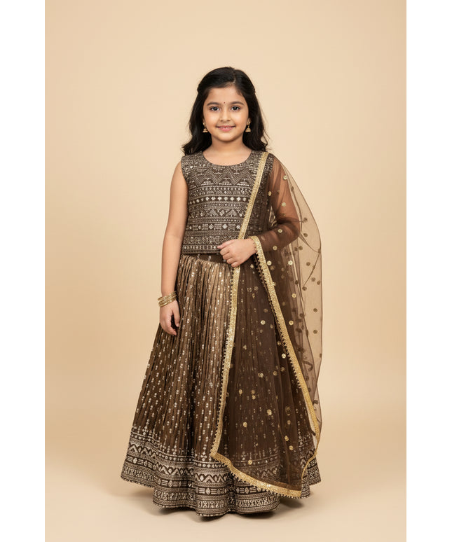 Lehenga Choli set for Girls