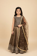 Lehenga Choli set for Girls