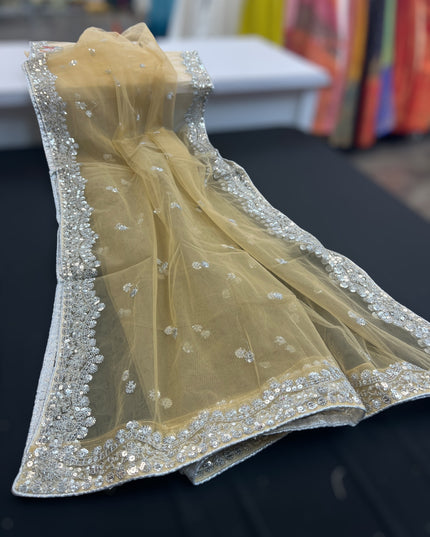 Heavy party wear dupatta : silver border - Kurti Connection USA