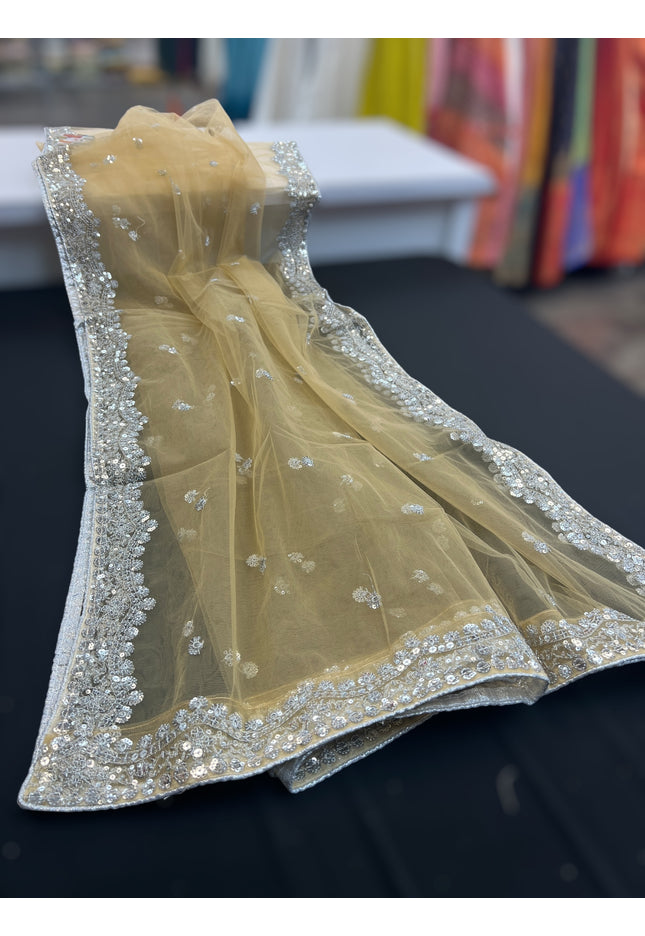 Heavy party wear dupatta : silver border - Kurti Connection USA